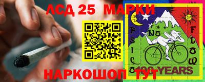 эйфоретик Донской
