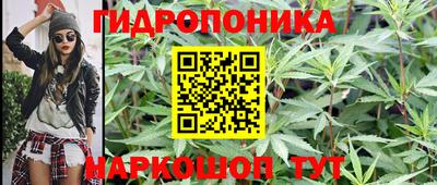 эйфоретик Донской