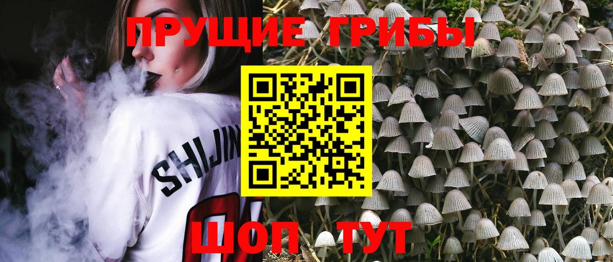наркошоп  Галлюциногенные грибы Psilocybine cubensis  Вход с VPN  Псилоцибиновые грибы Cubensis  Набережные Челны 